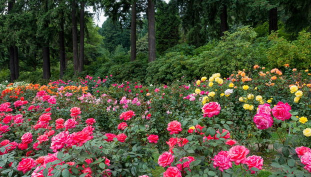 Tour panorámico por Portland - Foto 5