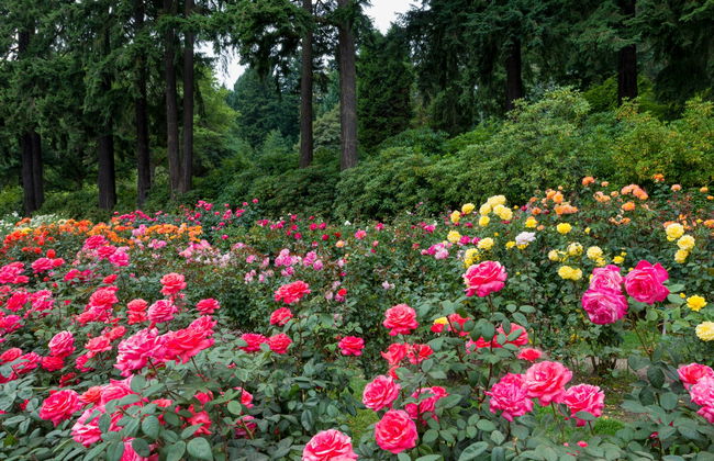 Tour panorámico por Portland - Foto 5