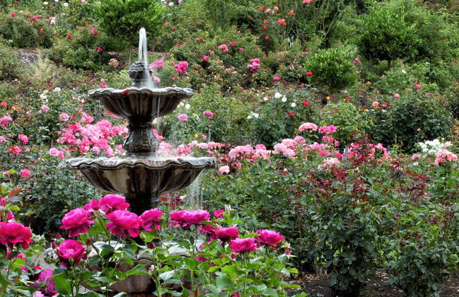 Tour panorámico por Portland - Foto 4