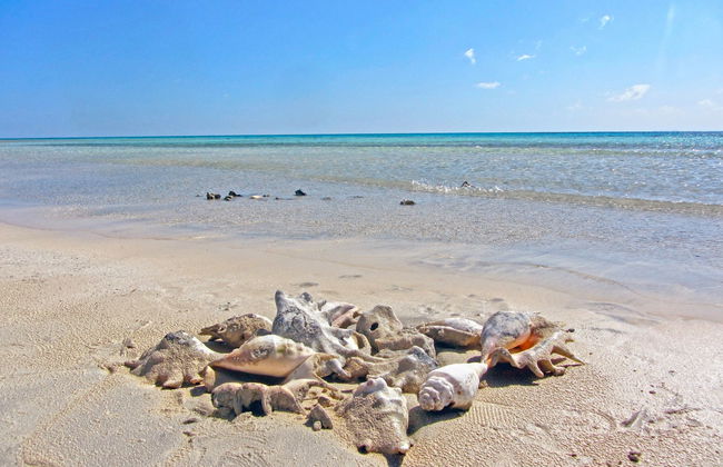 Snorkel in Sharm El Luli + Wadi El Qulaan - Photo 4