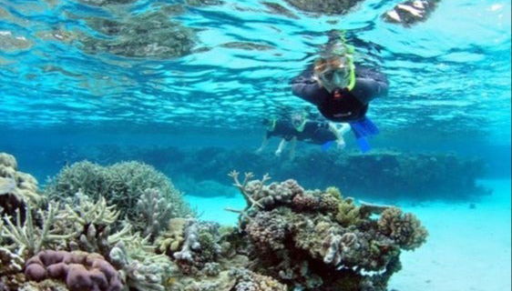 Snorkeling à Sharm El Luli et Wadi El Qulaan - Photo 1