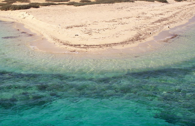Snorkel em Sharm El Luli e em Wadi El Qulaan - Foto 4