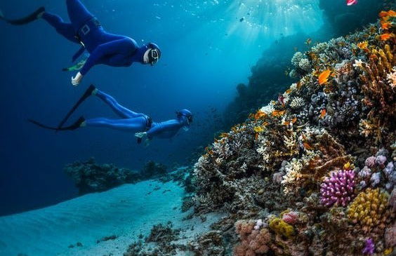 Snorkel em Sharm El Luli e em Wadi El Qulaan - Foto 3