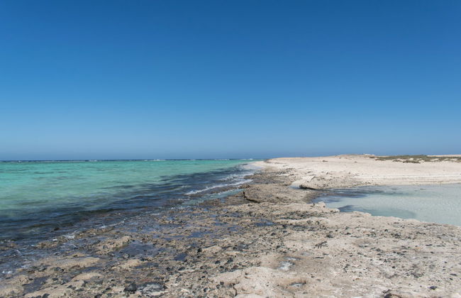 Snorkel in Sharm El Luli + Wadi El Qulaan - Photo 7