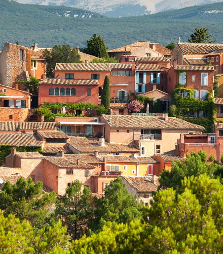 Foto de Tour por la Provenza + Cata de vinos