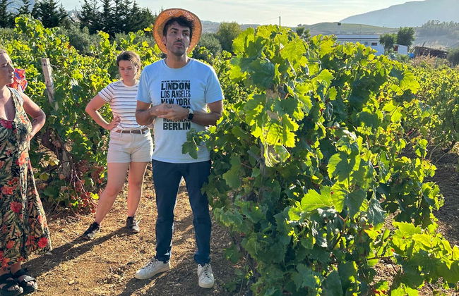 Visita a un viñedo + Degustación de productos típicos - Foto 6