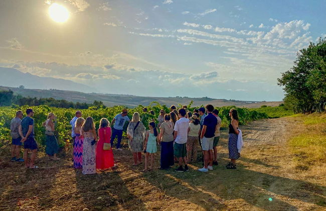 Visita a un viñedo + Degustación de productos típicos - Foto 5