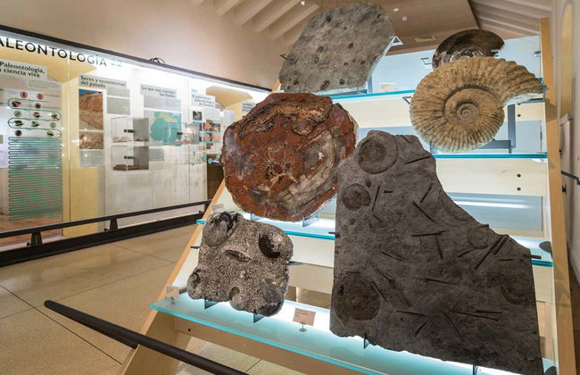 MUNA Museum Tickets + Teide National Park Audio Guide - Photo 7