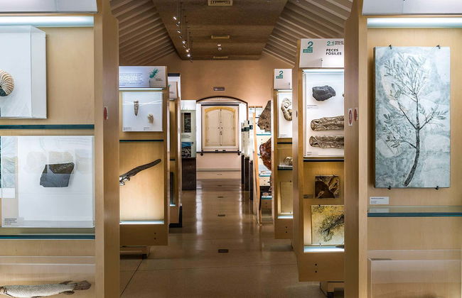 MUNA Museum Tickets + Teide National Park Audio Guide - Photo 8