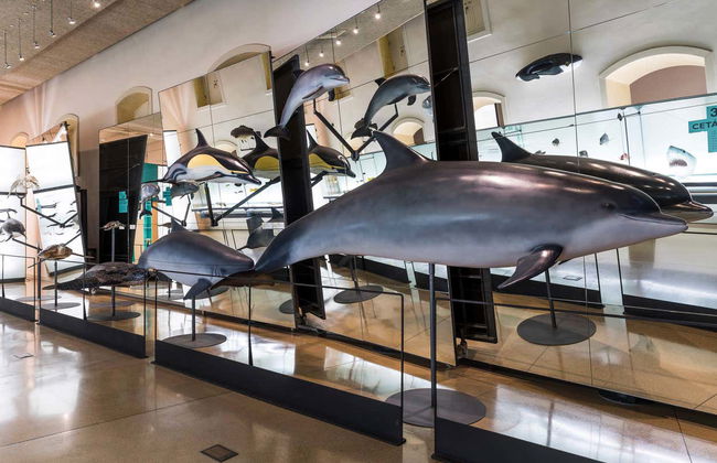 MUNA Museum Tickets + Teide National Park Audio Guide - Photo 3