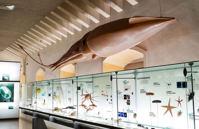 MUNA Museum Tickets + Teide National Park Audio Guide - Photo 6