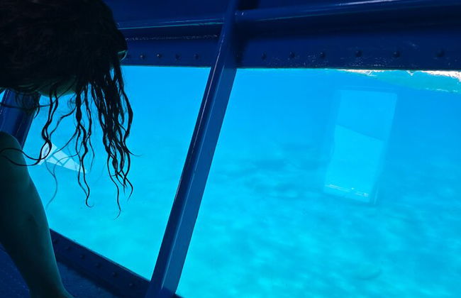 3 Hours Morning Adventure por Turtle Submarine - Foto 3