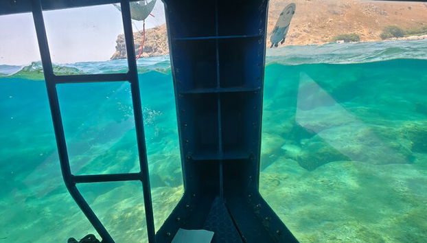 3 Hours Morning Adventure por Turtle Submarine - Foto 5