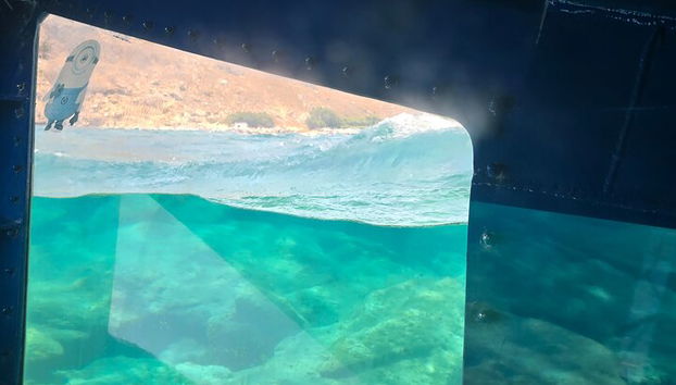 3 Hours Morning Adventure por Turtle Submarine - Foto 4
