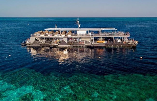 Crucero a la Gran Barrera de Coral, pontón Hardy Reef - Foto 2
