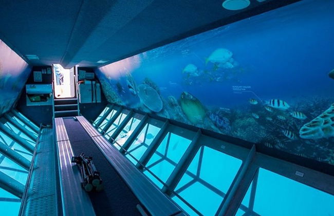 Crucero a la Gran Barrera de Coral, pontón Hardy Reef - Foto 7