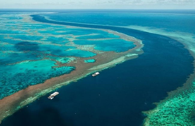 Crucero a la Gran Barrera de Coral, pontón Hardy Reef - Foto 6