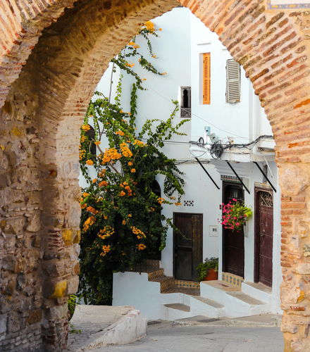 Foto de Tánger desde Marbella