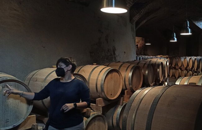 Langhe Wine & Food Tour da Torino: Barolo e Altro - Foto 10