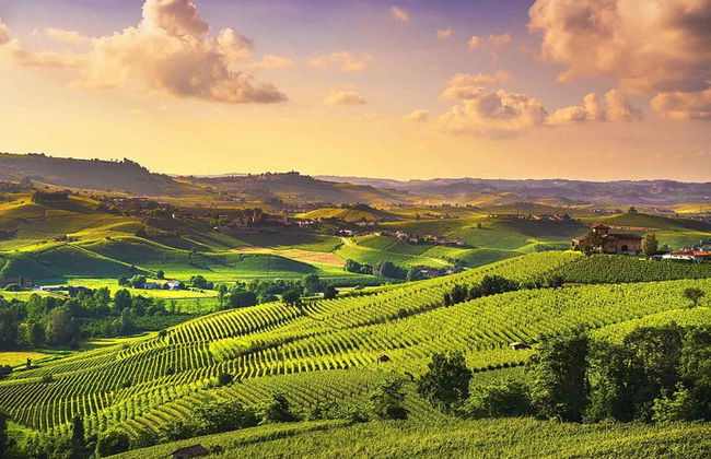 Langhe Wine & Food Tour da Torino: Barolo e Altro - Foto 4