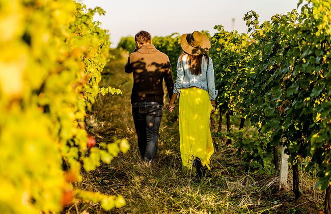Langhe Wine & Food Tour da Torino: Barolo e Altro - Foto 6