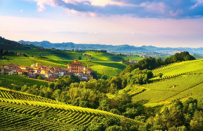Langhe Wine & Food Tour da Torino: Barolo e Altro - Foto 9