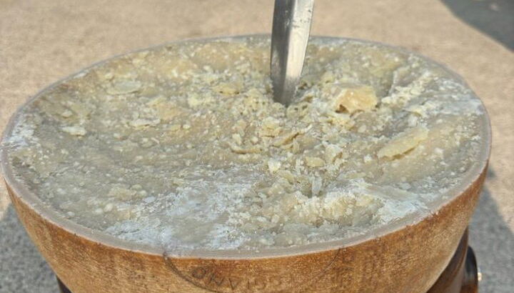 Ab Bologna: Parmesankäse- und Balsamico-Essig-Tour + Mittagessen - Foto 1