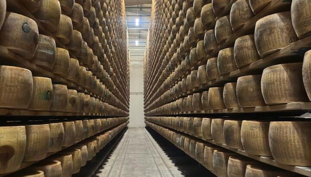 Ab Bologna: Parmesankäse- und Balsamico-Essig-Tour + Mittagessen - Foto 2