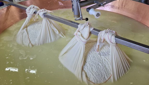 Ab Bologna: Parmesankäse- und Balsamico-Essig-Tour + Mittagessen - Foto 4