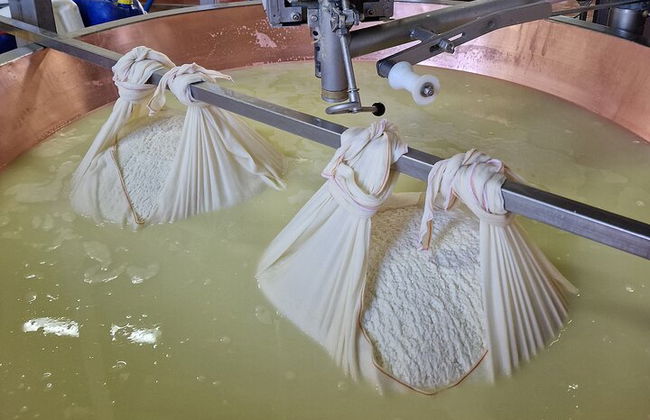 Ab Bologna: Parmesankäse- und Balsamico-Essig-Tour + Mittagessen - Foto 4