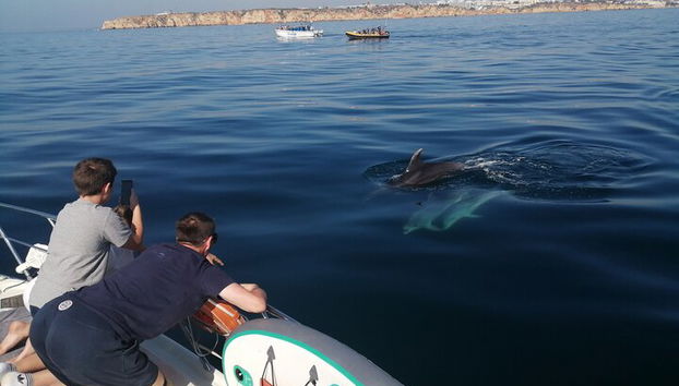 Charter privado por la mañana con bebidas, tapas, tablas de paddle y kayak - Foto 3
