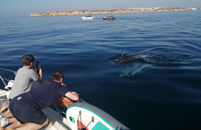 Charter privado por la mañana con bebidas, tapas, tablas de paddle y kayak - Foto 3