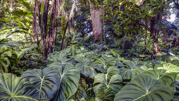 Entrada a Flamingo Gardens - Foto 2