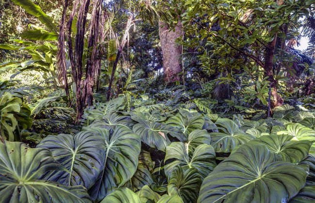 Entrada a Flamingo Gardens - Foto 2