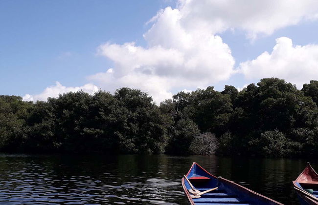 Paseo en barco por la ciénaga La Caimanera - Foto 5