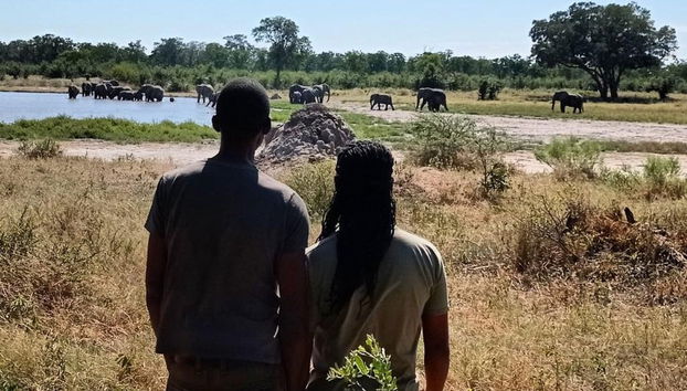 Safari di 10 giorni in Botswana - Foto 3