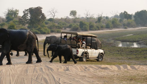 Safari di 10 giorni in Botswana - Foto 5