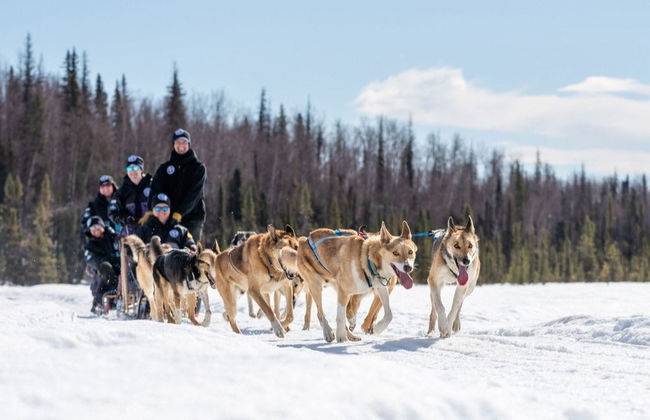 Paseo en trineo de perros husky en invierno - Foto 5