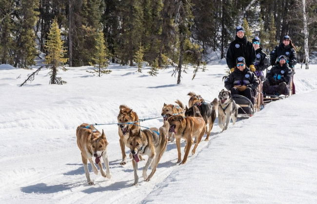 Paseo en trineo de perros husky en invierno - Foto 4