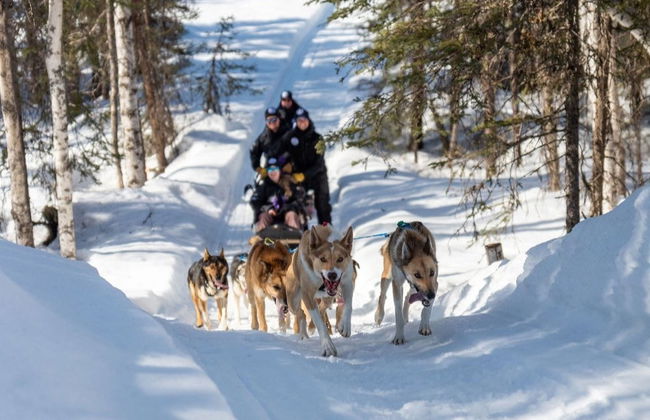 Paseo en trineo de perros husky en invierno - Foto 2