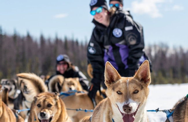 Paseo en trineo de perros husky en invierno - Foto 8