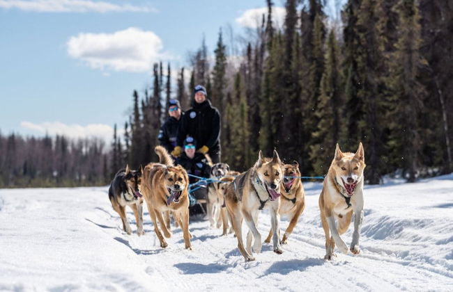 Paseo en trineo de perros husky en invierno - Foto 7
