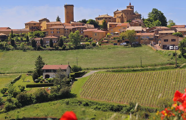Excursión a Oingt + Visita a una bodega de Beaujolais - Foto 3