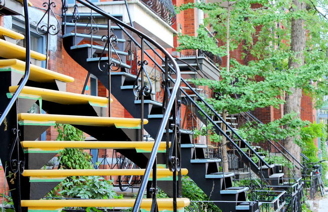 Visita guiada pelo Plateau Mont-Royal e Mile End - Foto 3