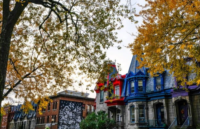 Visita guidata di Plateau Mont-Royal e Mile End - Foto 5