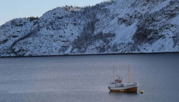 Pesca no fiorde de Alta - Foto 4