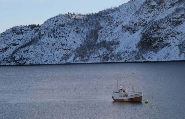 Pesca no fiorde de Alta - Foto 4