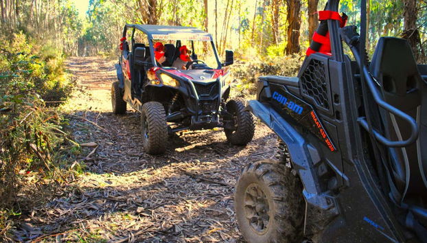 Tour en buggy por Arouca - Foto 2