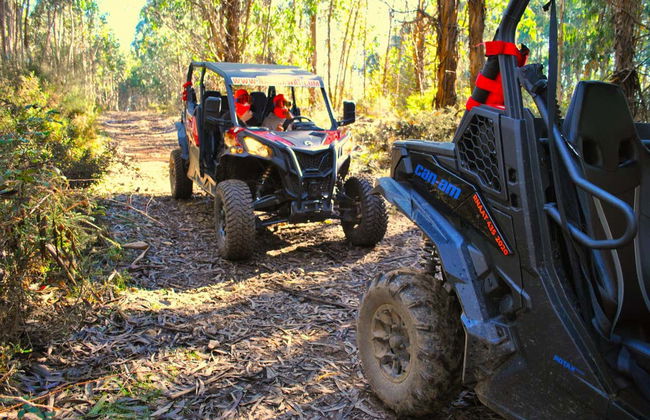 Tour en buggy por Arouca - Foto 2