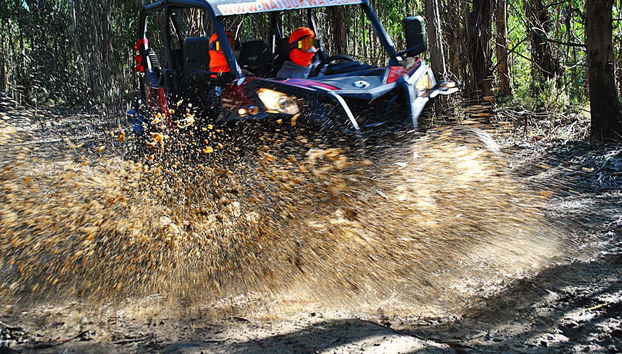Tour en buggy por Arouca - Foto 3